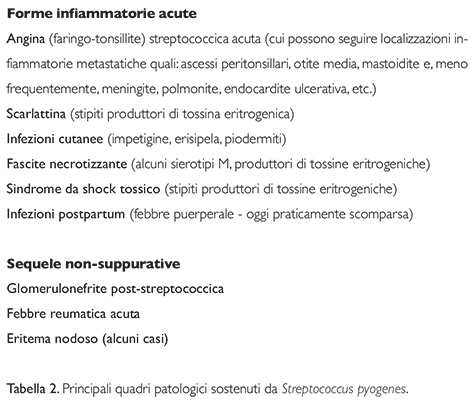 Streptococcinum_2012-tab2